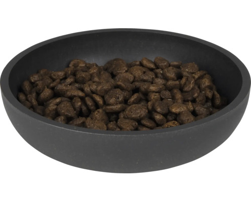 Napf mit Katzenfutter