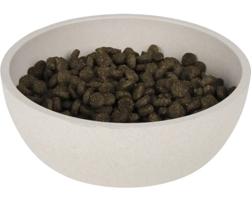 Futternapf gefüllt mit Trockenfutter für Tiere