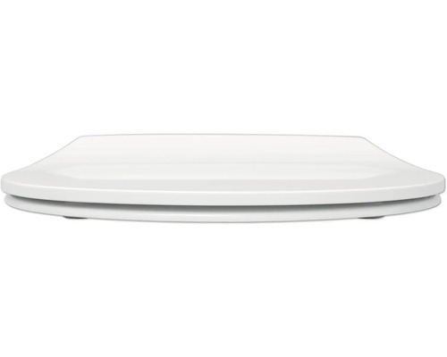 Toilettendeckel aus Kunststoff