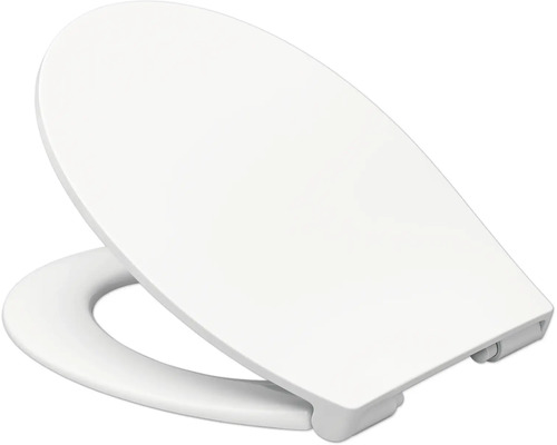 Toilettendeckel aus Kunststoff