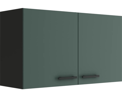 Armoire suspendue Optifit Verona405 lxpxh 100 x 34,6 x 57,6 cm couleur de façade vert mat couleur du corps gris