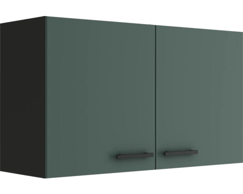 Optifit Hängeschrank Verona405 BxTxH 100x34,6x57,6 cm grün matt zerlegt