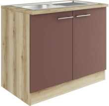 Spülenunterschrank mit zwei Türen und Spülbecken