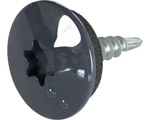Vis PRECIT à tête demi-ronde 4,8 mm x 20 mm gris anthracite RAL 7016 paquet = 100 pces Vis PRECIT à tête demi-ronde 4,8 mm x 20 mm gris anthracite RAL 7016 paquet = 100 pces