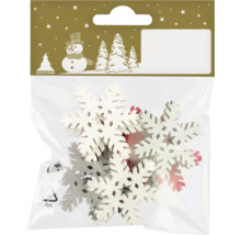 Paquet de flocons de neige pour la décoration