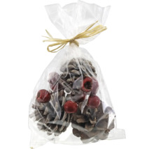 Dekoration mit Zapfen und Beeren in durchsichtiger Verpackung