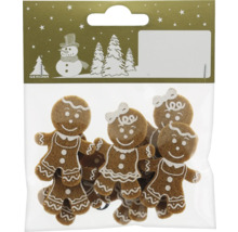 Figurines en pain d''épices dans un sachet