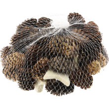Pommes de pin dans un filet
