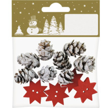 Set de décoration avec pommes de pin et étoiles en bois dans un sac