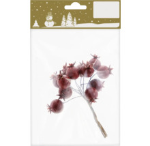 Branches de baies décoratives dans un emballage