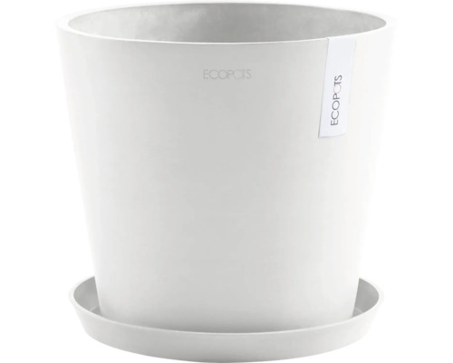 Weißer Pflanztopf mit Untersetzer