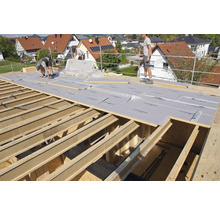 STEICOsafe Holzfaser-Unterdeckplatte mit N+F und aufkaschierten Unterdeckbahn 2230 mm x 600 mm x 60 mm (Abnahme nur palettenweise möglich)