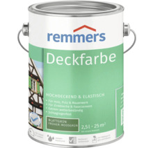 Remmers peinture couvrante en pot pour bois, crépi et maçonnerie