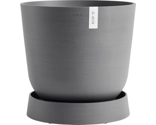 Grauer Blumentopf mit Untersetzer