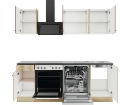 Küchenzeile mit Hängeschränken, Dunstabzugshaube, Spüle, Geschirrspüler und Herd