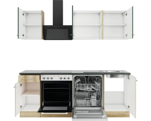 Küchenzeile mit Hängeschränken, Dunstabzugshaube, Spüle, Geschirrspüler und Backofen