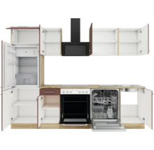 Cuisine équipée avec évier, cuisinière, hotte, réfrigérateur et lave-vaisselle