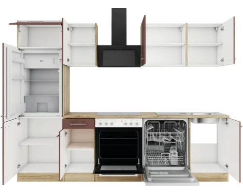 Küchenzeile mit Spüle, Herd, Dunstabzugshaube, Kühlschrank und Geschirrspüler