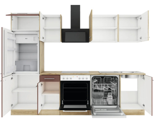 Komplette Küche mit Kühlschrank, Backofen, Geschirrspüler und Dunstabzugshaube