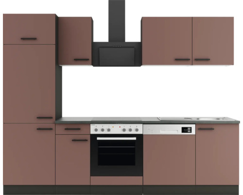 Moderne Küche mit Küchenschränken, Spüle, Herd, Backofen und Dunstabzugshaube.