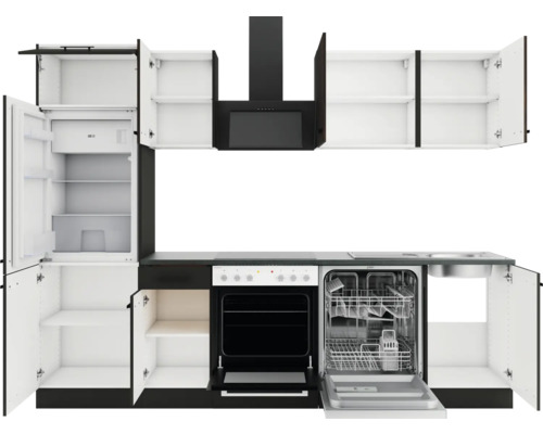 Küchenzeile mit Kühlschrank, Spülmaschine, Herd, Dunstabzugshaube und Hängeschränken