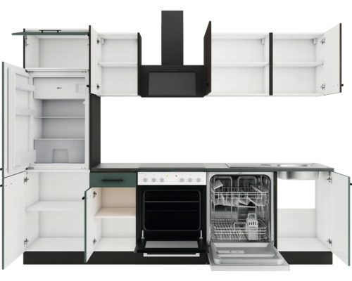 Cuisine complète avec appareils électriques, comprenant un réfrigérateur, une cuisinière, un lave-vaisselle et une hotte aspirante.