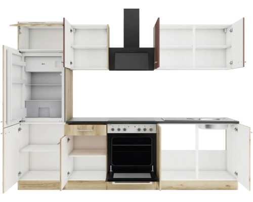 Küchenzeile mit Kühlschrank, Herd, Spüle und Dunstabzugshaube