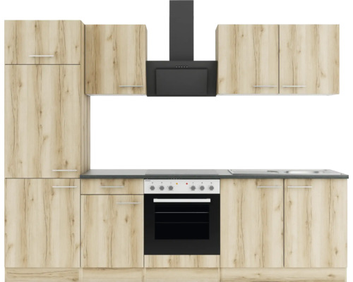 Küchenzeile mit Einbaubackofen und Dunstabzugshaube