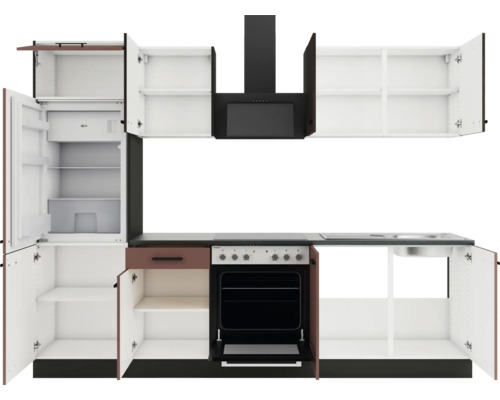 Küchenzeile mit Kühlschrank, Dunstabzugshaube, Spüle und Backofen