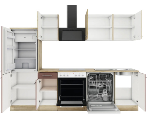 Küchenzeile mit Kühlschrank, Herd, Dunstabzugshaube und Geschirrspüler.