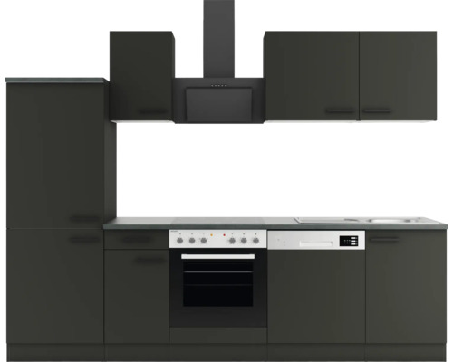 Küchenzeile mit Spüle, Herd, Backofen, Dunstabzugshaube und Oberschränken