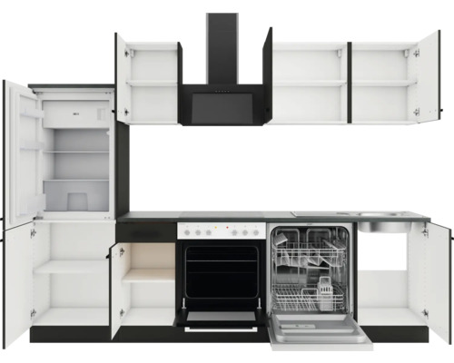 Küchenzeile mit Kühlschrank, Geschirrspüler, Spüle, Herd, Backofen und Dunstabzugshaube