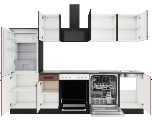 Küchenzeile mit Kühlschrank, Spülmaschine, Herd und Dunstabzugshaube