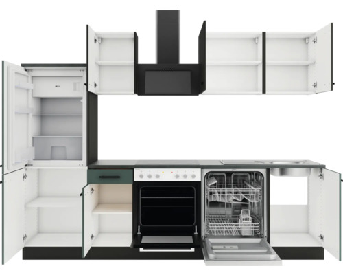 Küchenzeile mit Kühlschrank, Kochfeld, Dunstabzugshaube und Geschirrspüler.