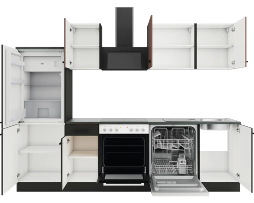 Küchenzeile mit Kühlschrank, Spülmaschine, Herd, Dunstabzugshaube und Hängeschränken