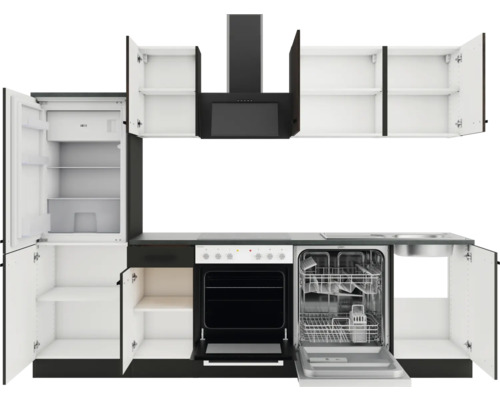 Küchenzeile mit Kühlschrank, Geschirrspüler, Herd und Dunstabzugshaube