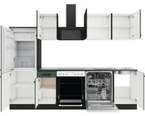 Komplette Küchenzeile mit Kühlschrank, Spülmaschine, Backofen und Dunstabzugshaube