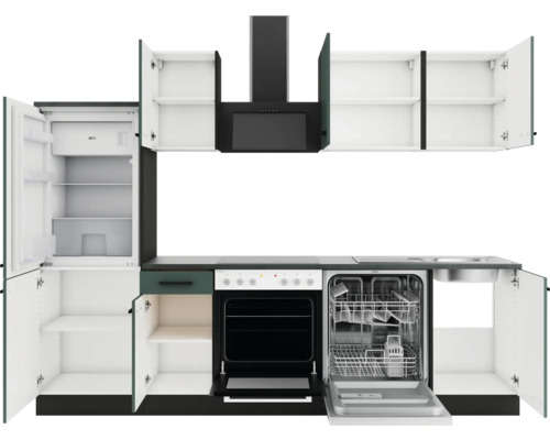 Küchenzeile mit Kühlschrank, Spülmaschine, Herd, Spüle und Dunstabzugshaube mit offenen Schranktüren