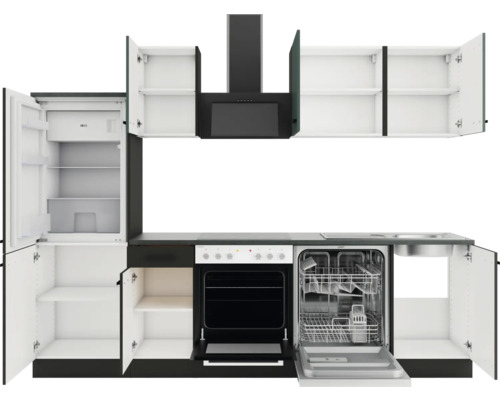 Komplette Küche mit Kühlschrank, Spülmaschine, Herd, Dunstabzugshaube und Schränken