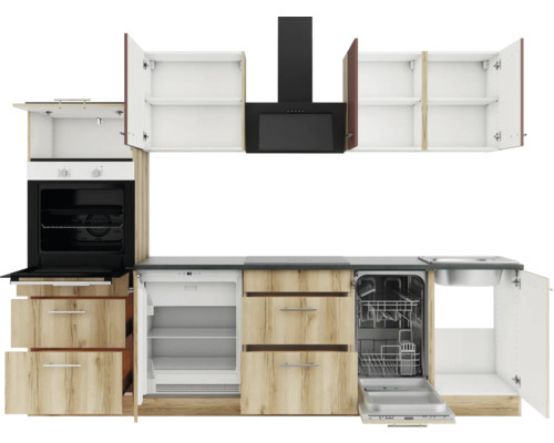 Cuisine équipée avec évier, cuisinière, hotte aspirante, lave-vaisselle et réfrigérateur