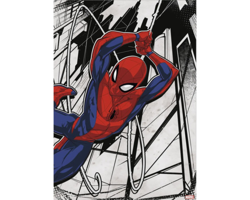 Leinwandbild Spider Man in action 50x70 cm