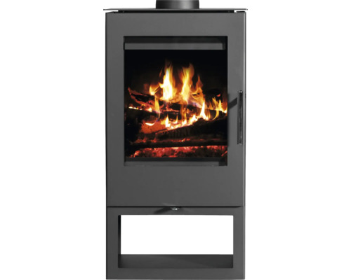 Poêle à bois avec feu de bois pour le chauffage