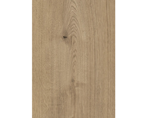 Holzstruktur mit Maserung für Innenausbau und Möbelbau