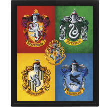 Image encadrée des armoiries de Harry Potter avec les armoiries des maisons Gryffondor, Serpentard, Poufsouffle et Serdaigle.