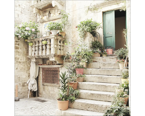 Extérieur avec escalier en pierre, plantes et éléments décoratifs