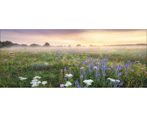 Tableau en verre Morning Haze 125x50 cm