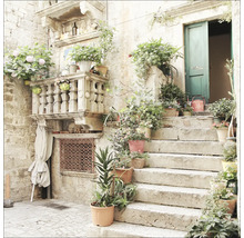 Dekorativer Hauseingang mit Treppe und vielen Blumentöpfen