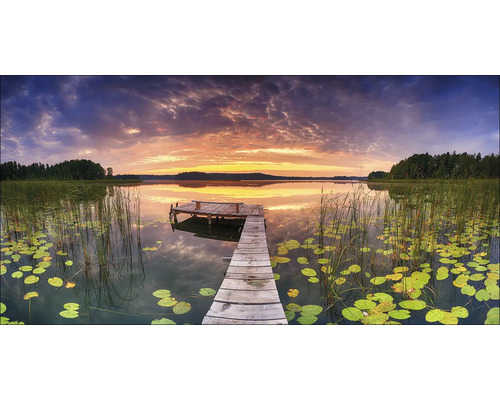 Holzsteg an einem See mit Seerosen bei Sonnenuntergang