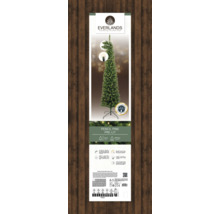Emballage d''un sapin de Noël artificiel Everlands Pencil Pine lumineux