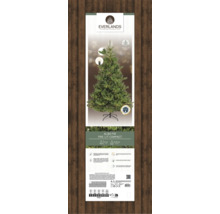 Emballage d''un sapin Alba Everlands, avec éclairage et forme compacte.